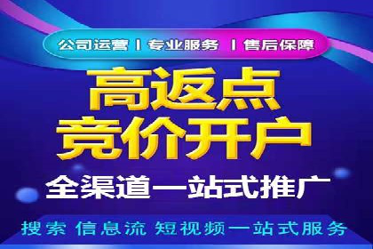 某电商平台渠道开户返点策略的胜利